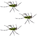 3 Pack Barbless Pat's Barred Rubber Legs Tungsten Bead Jigged Black/Chartreuse Euro Nymph  - Hook Size 6