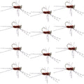 Barbless Pat's Barred Rubber Legs Tungsten Bead Jigged Brown Euro Nymph  - Set of 12 Flies Hook Size 6