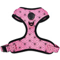 Asanoha Harness