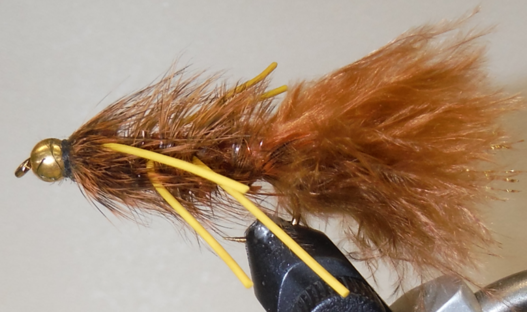 BH Woolly Bugger
