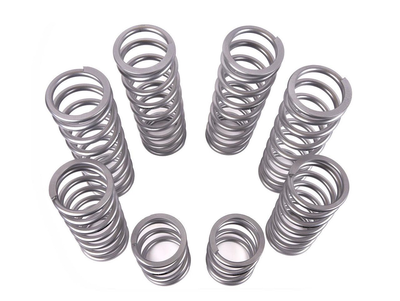 Shock Therapy Dual Rate Spring Kit (DRS) for Polaris RZR Pro R