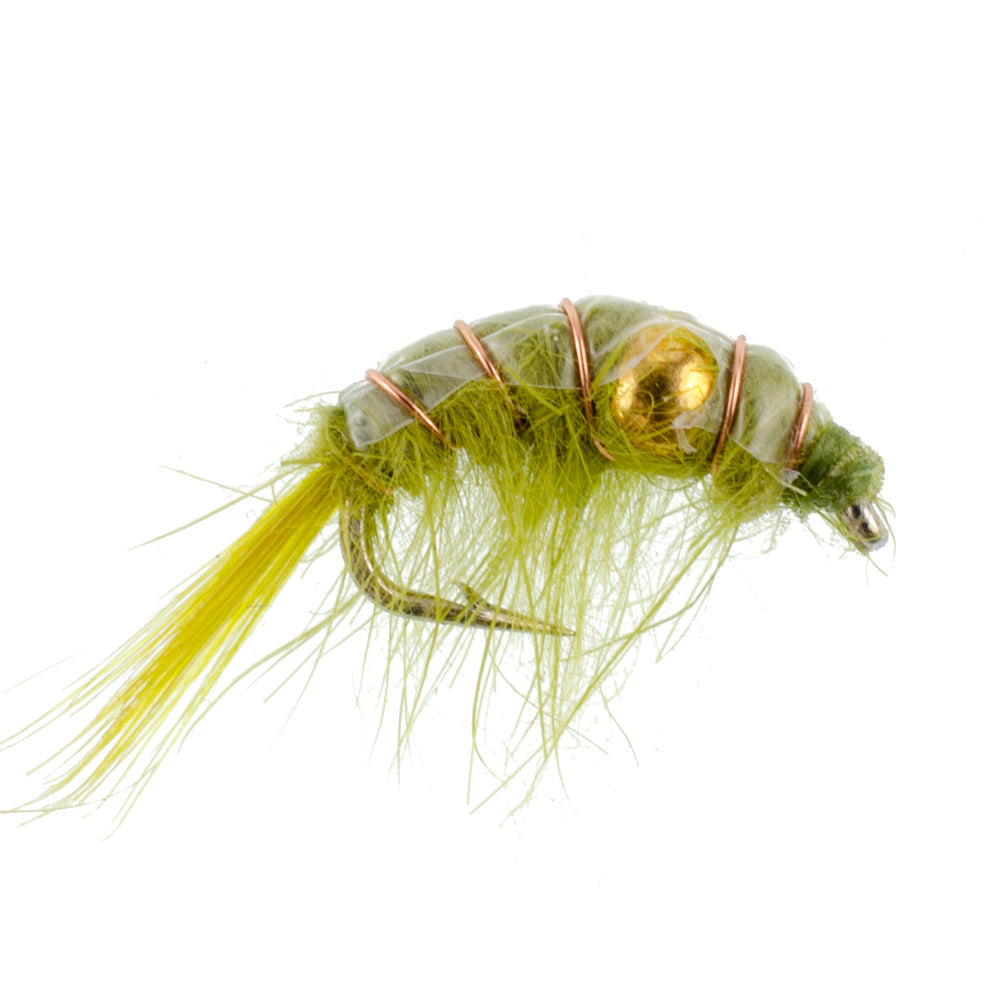 Beaded Shrimp Scud Assortment - 1 Dozen - 4 Each of 3 Patterns Size 16 - Tailwater Lake Fly