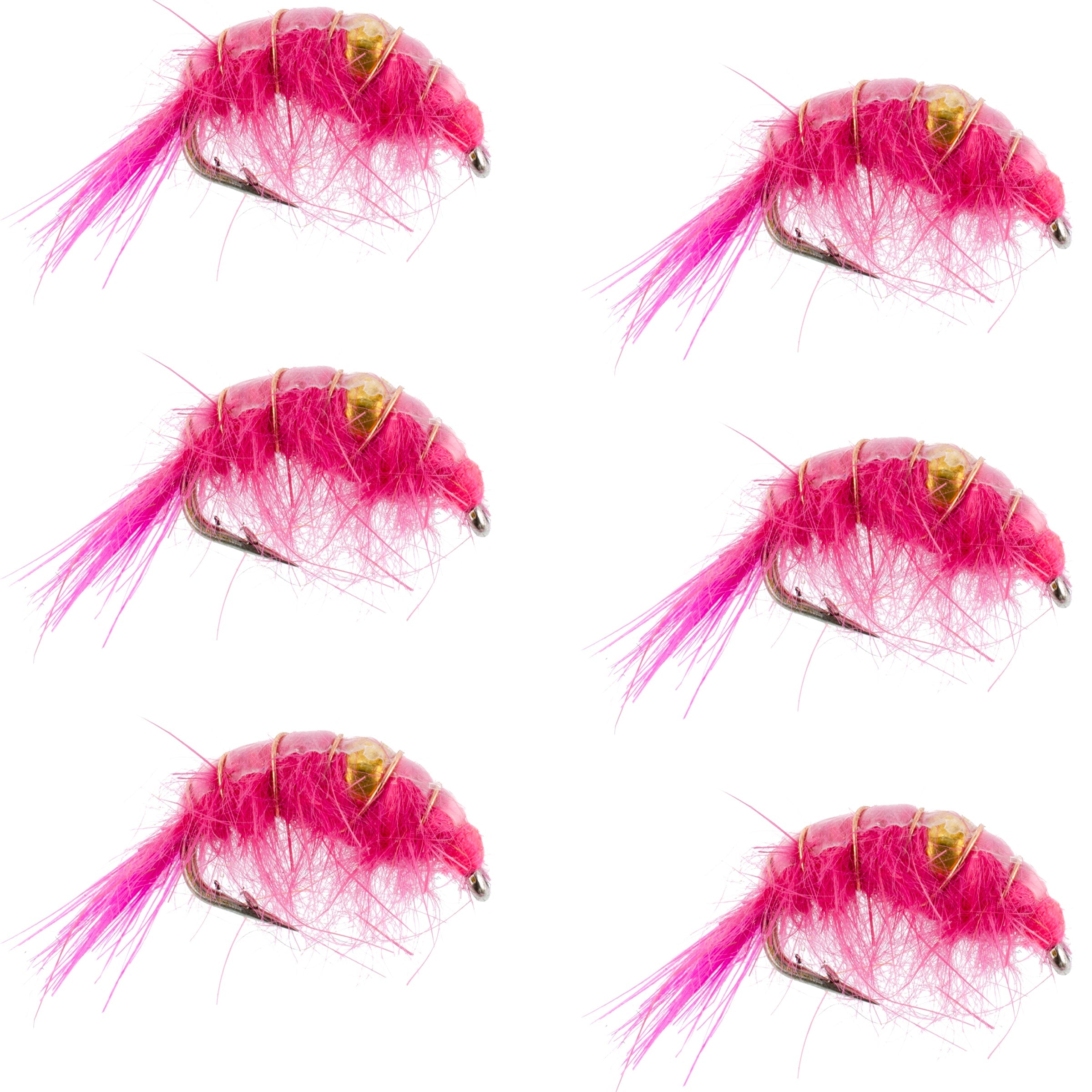 Pink Beaded Shrimp Scud Pattern - 6 Flies - Size 12 - Tailwater Lake Fly Fishing Nymph