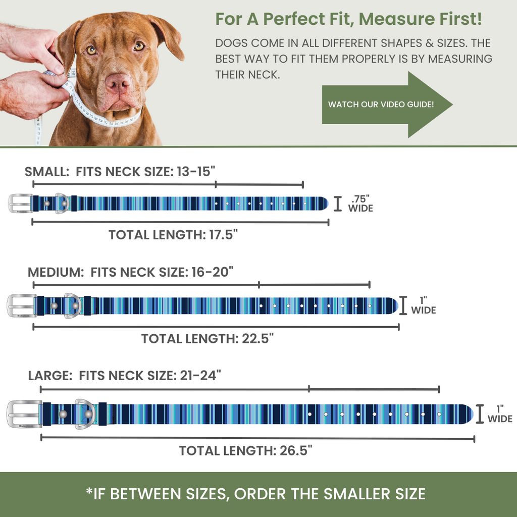 Waterproof Dog Collars – Washable Dog Collar, Stink-Proof & Durable