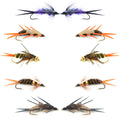 Basics Collection - Double Bead Head Nymph Assortment - 10 Wet Flies - 5 Patterns - Hook Size 12