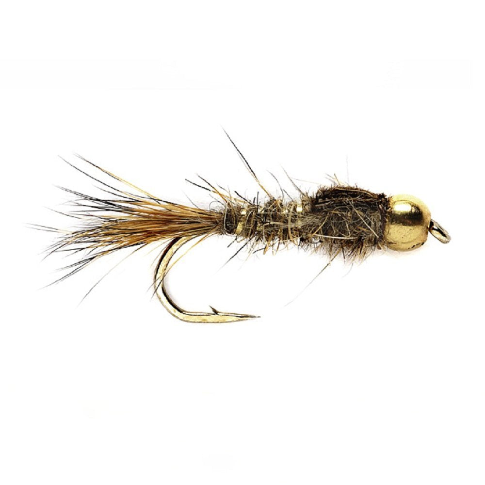 Basics Collection - Copper John and Bead Head Nymph Assortment - 10 Wet Flies - 5 Patterns - Hook Sizes 10, 12, 14, 16