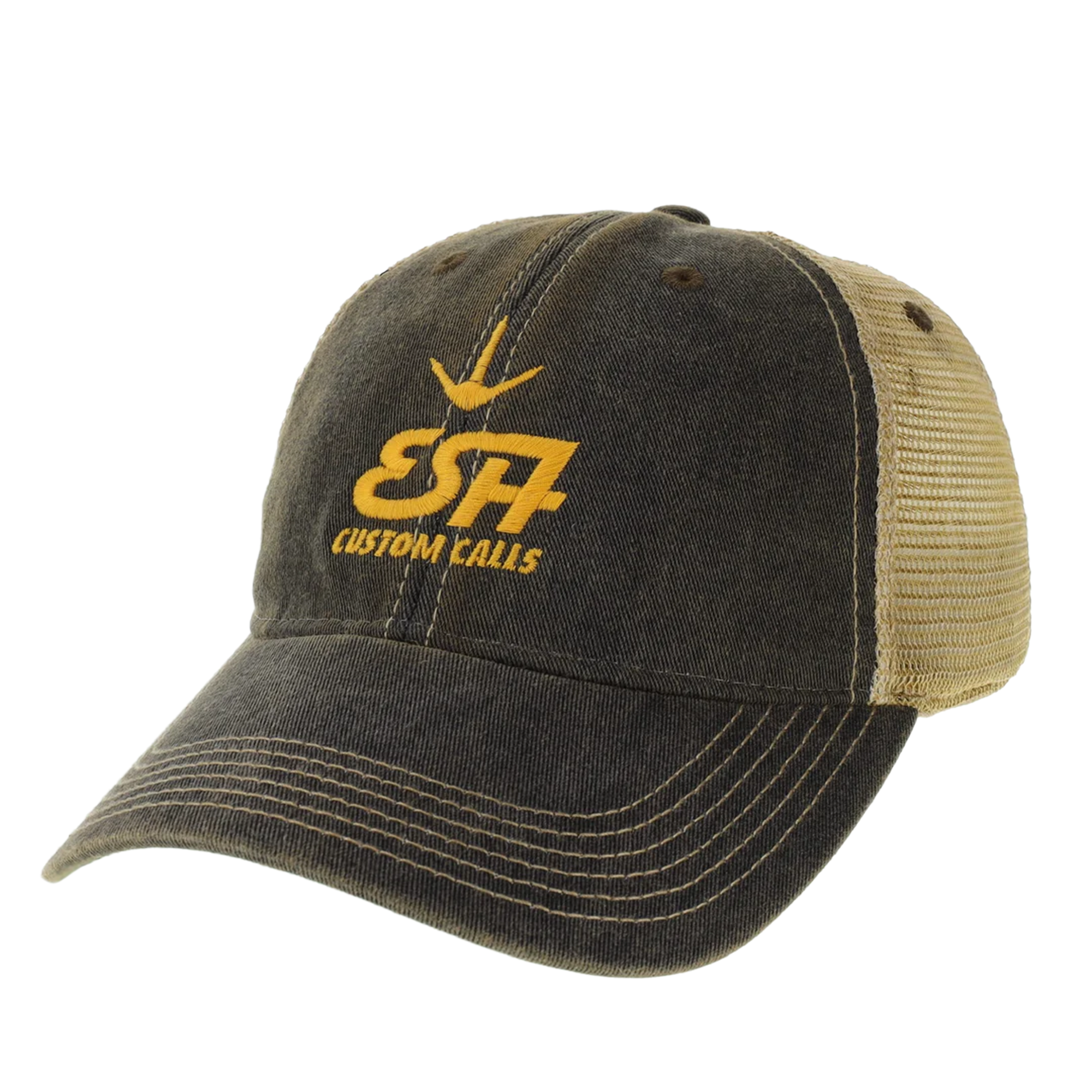 ESH Black Hat