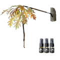 BuckBranch w/ 3 pack of Glands