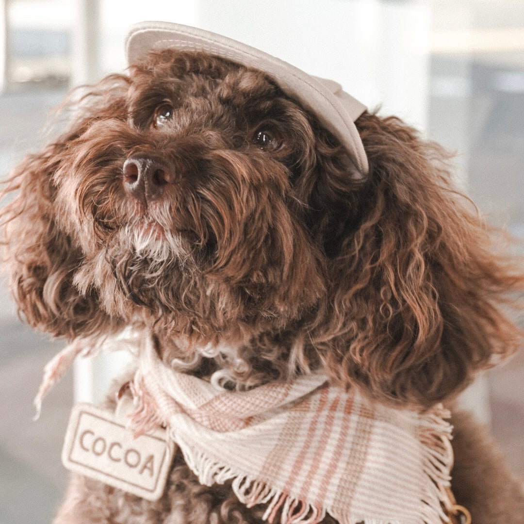 Furever Pet Hat