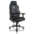 E-WIN Champion Upgraded Series Ergonomic Computer Gaming Office Chair with Pillows - CPJ-REV