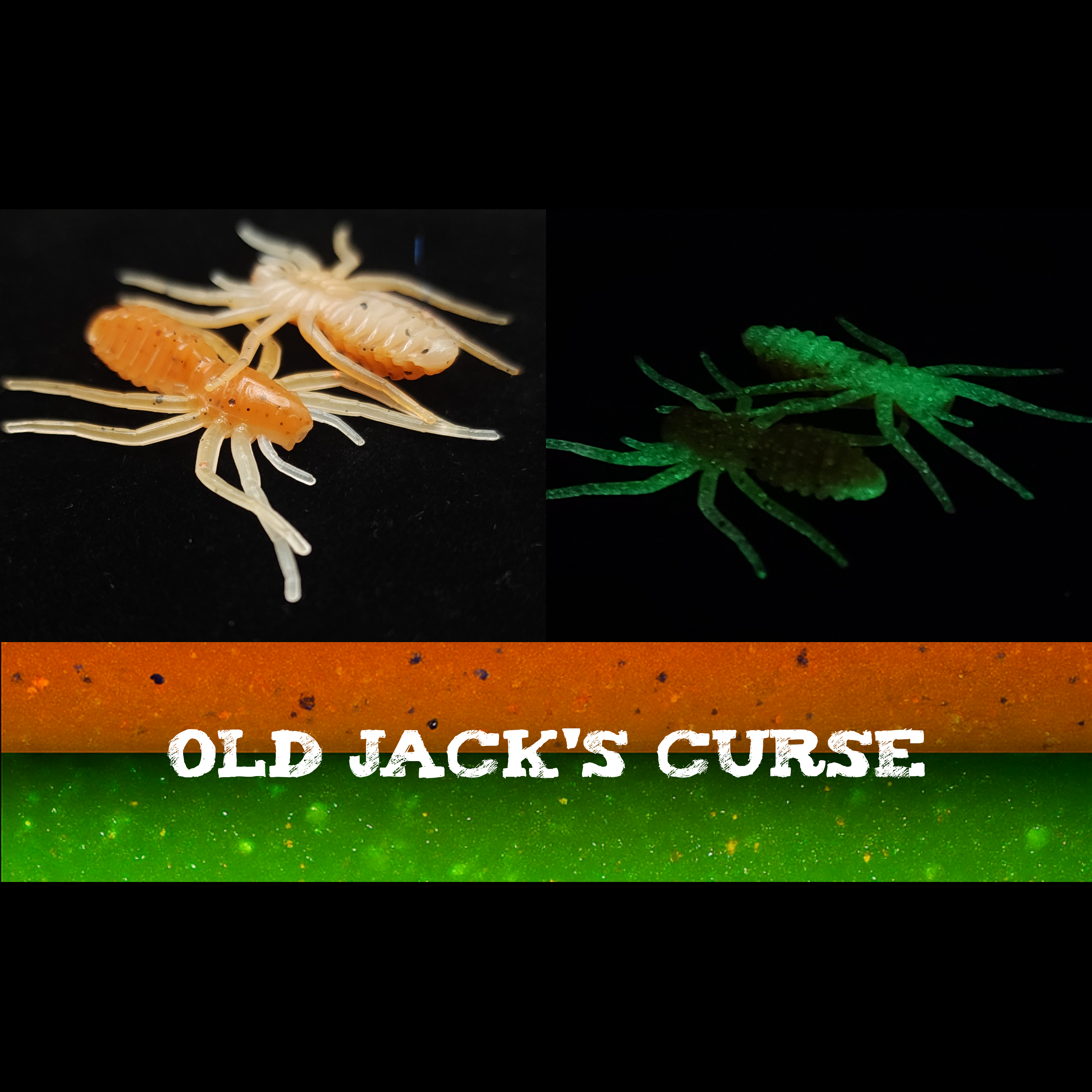 1" Micro Spider Bait "The Writing Spider"