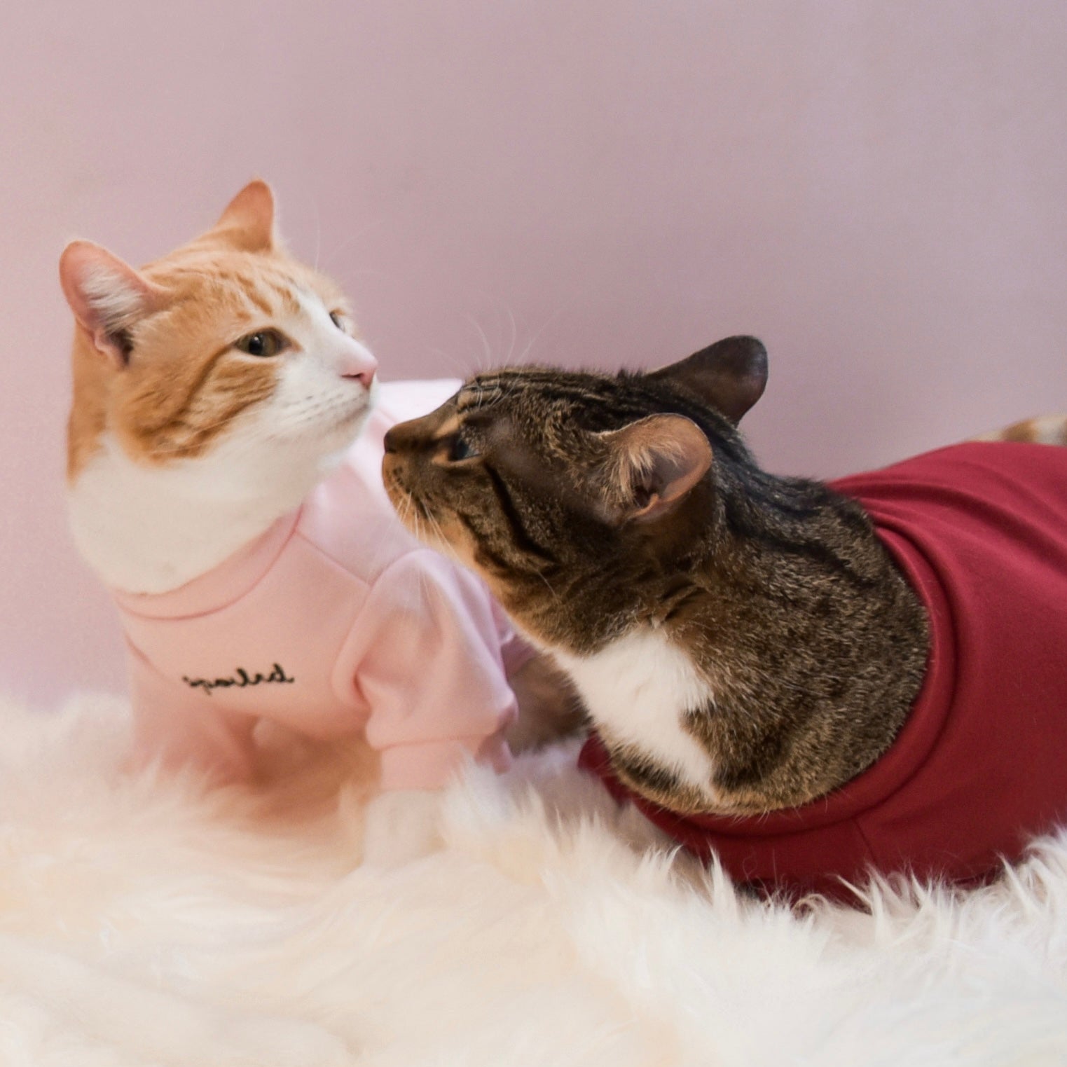 Spoiled Mock Neck Shirt - Lucky
