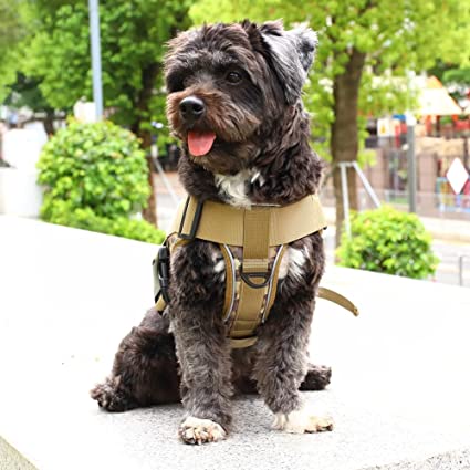 Tactical K9 Harness - Minimalist - Black