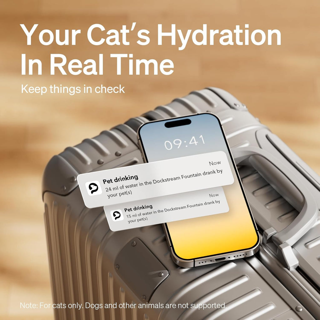 Dockstream Wireless Water Pump App Cat Fountain | Smart Stainless Steel Hydration System with App Tracking