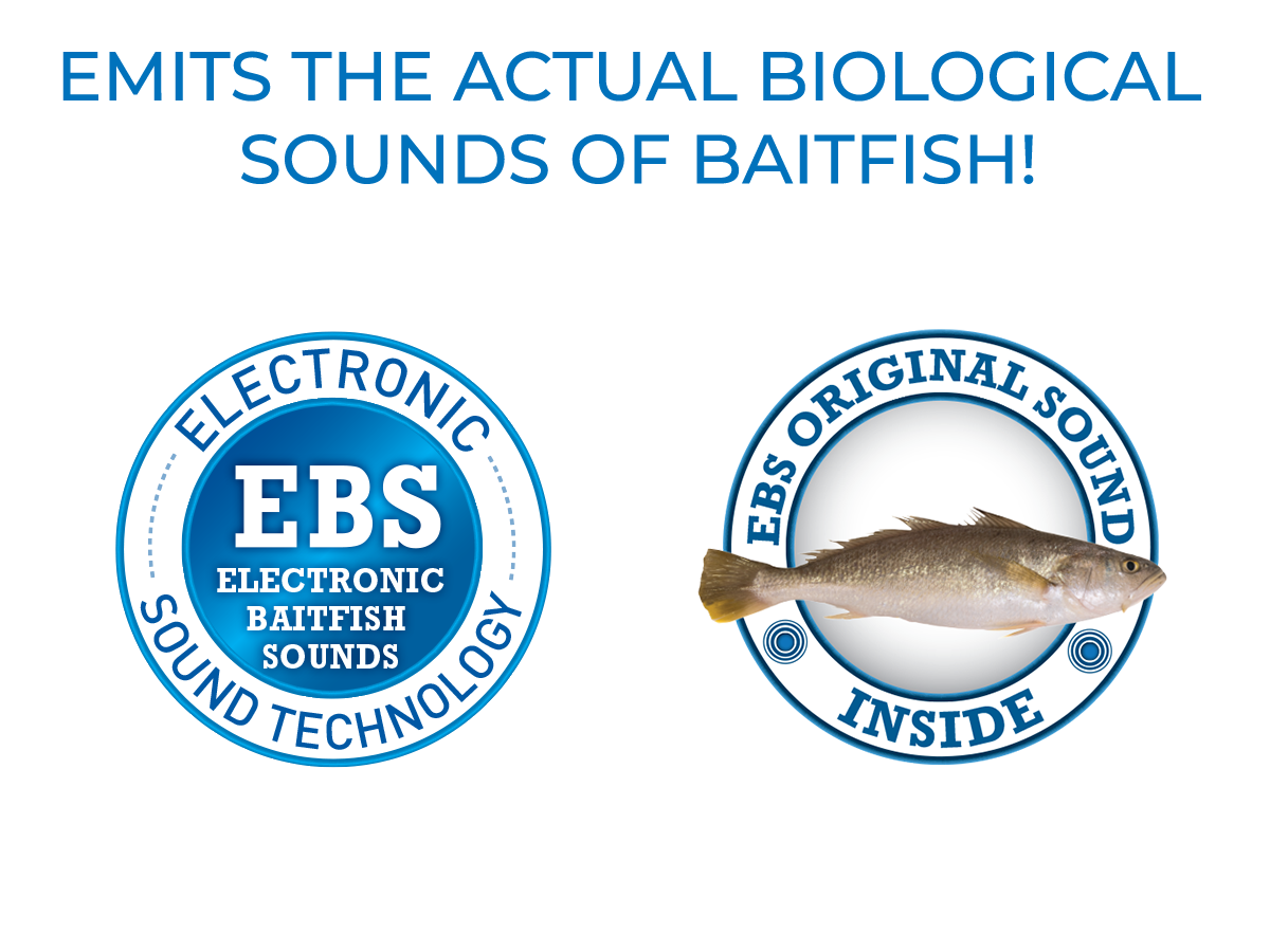 EBS Jigging Spoon