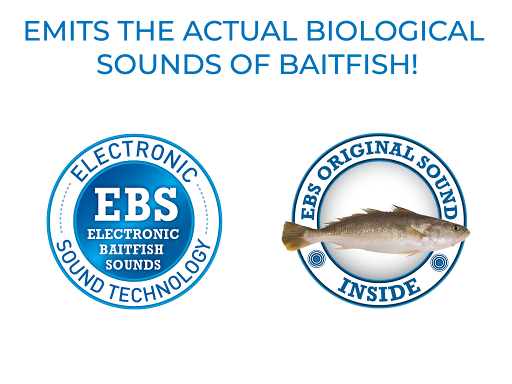 Primetyme CB 2.0