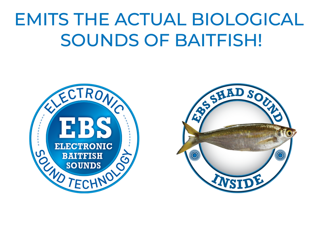 Walk N Pop 67