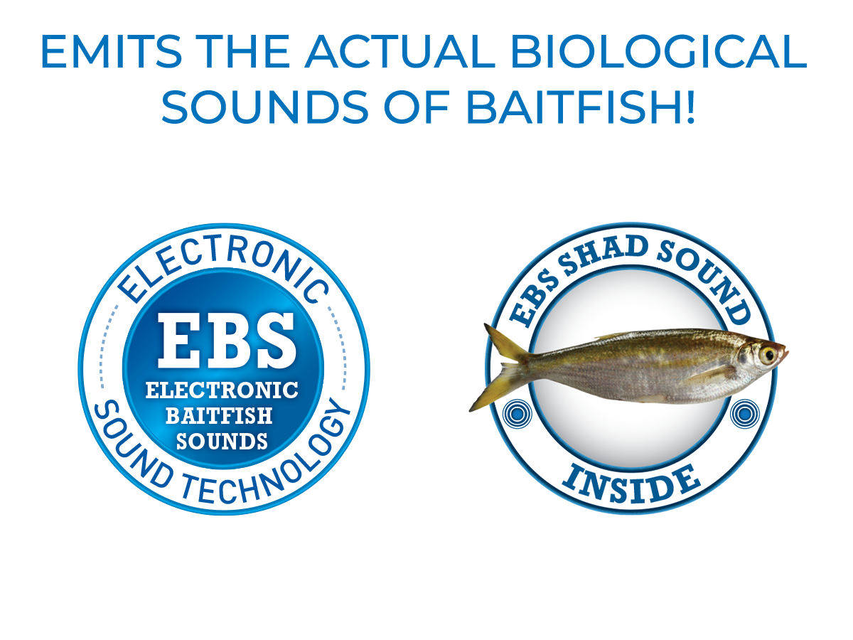 Walk N Pop 67