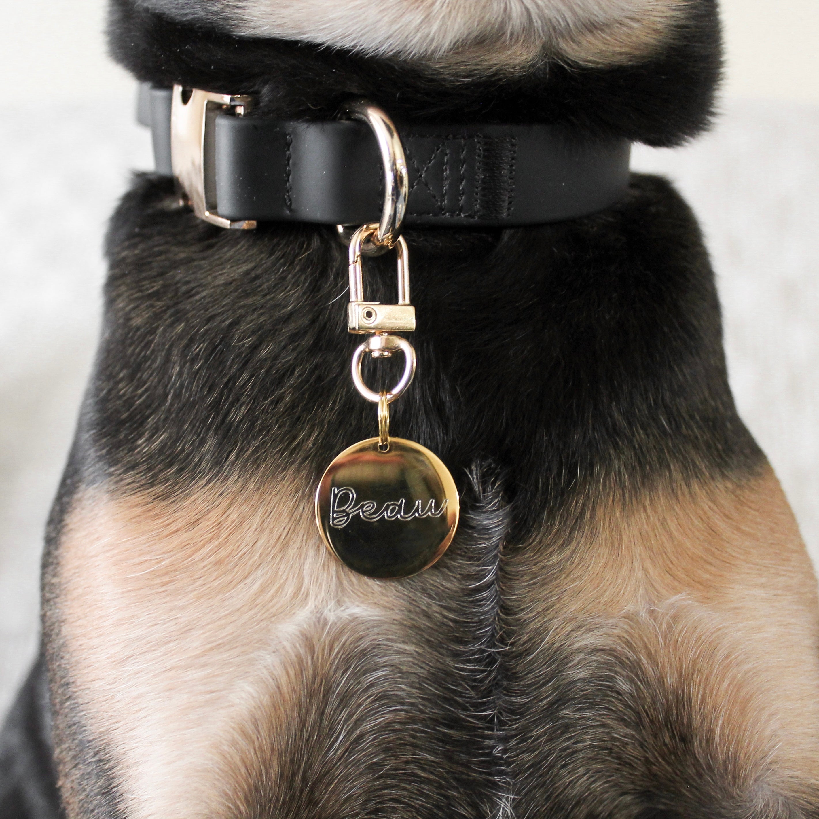 Elise Collar - Noir