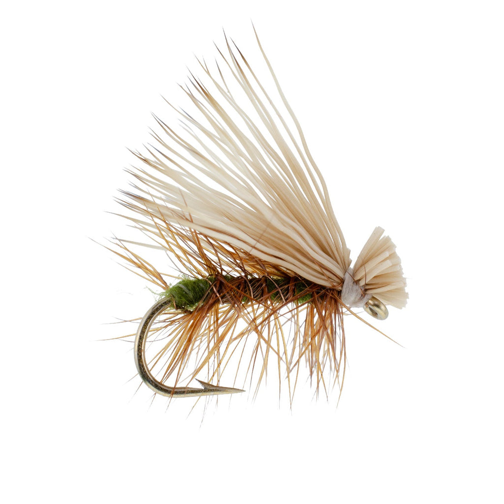 3 Pack Olive Elk Hair Caddis Classic Trout Dry Fly - Hook Size 14