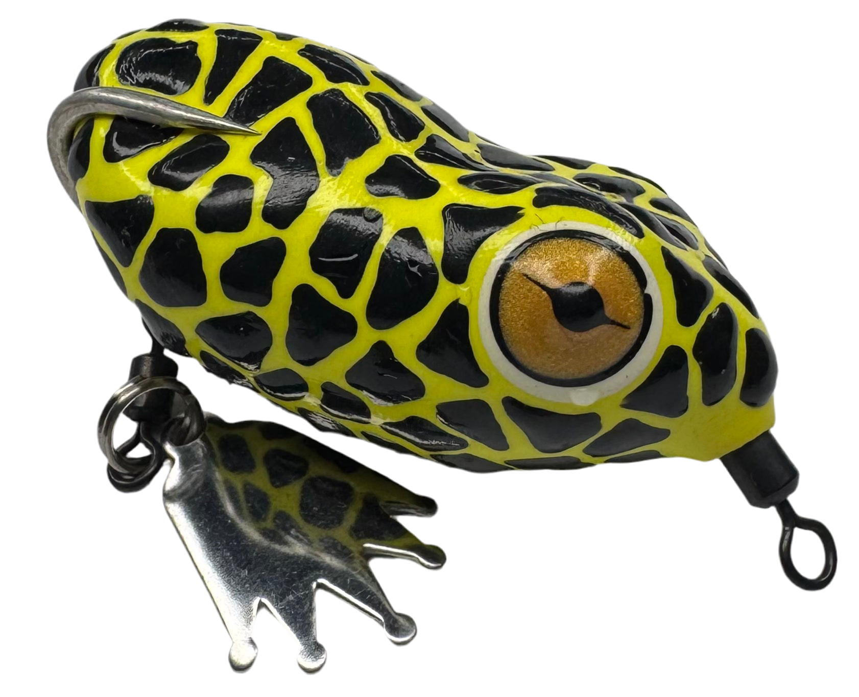 Pacman Frog
