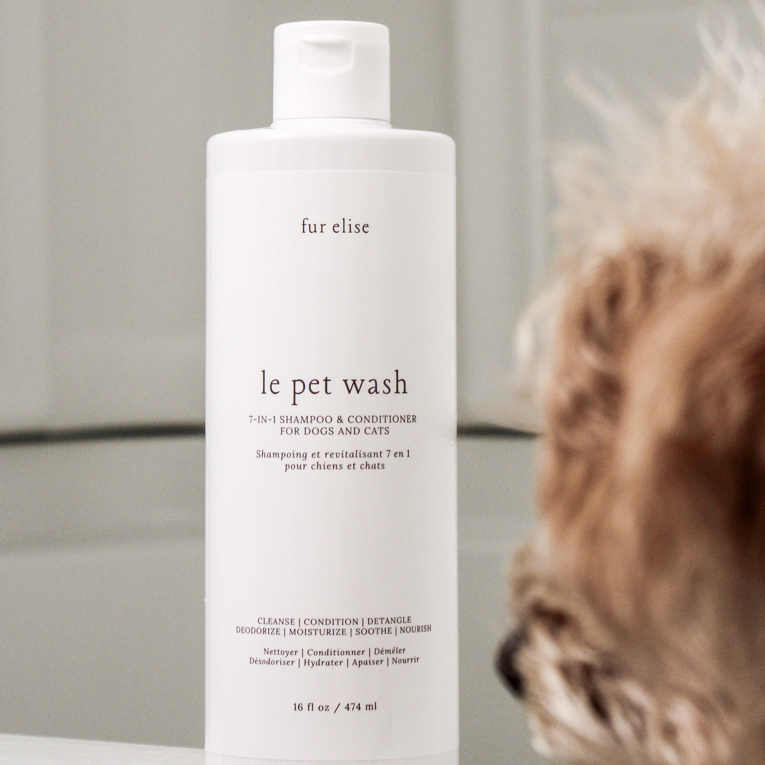 Le Pet Wash