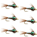 Barbless Bead Head Flashback Pheasant Tail Nymph Fly 6 Flies Hook Size 16