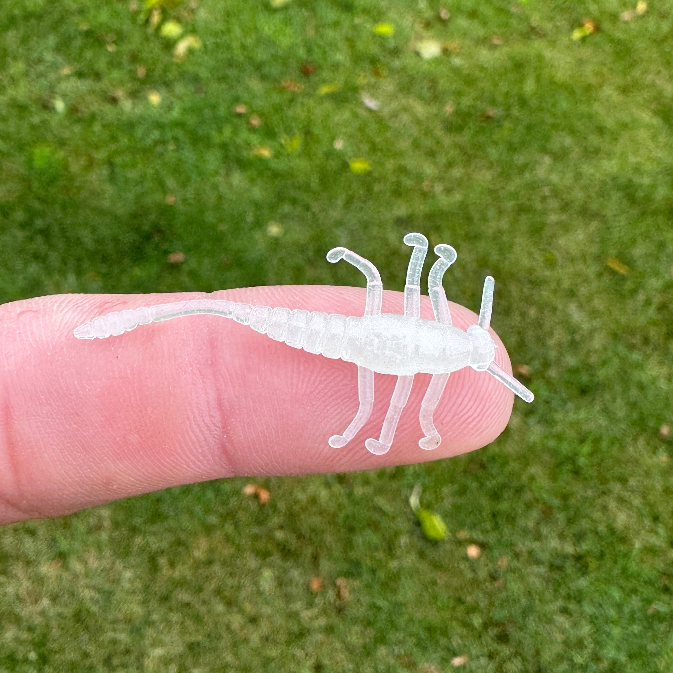 BS Bugzly 1.5"