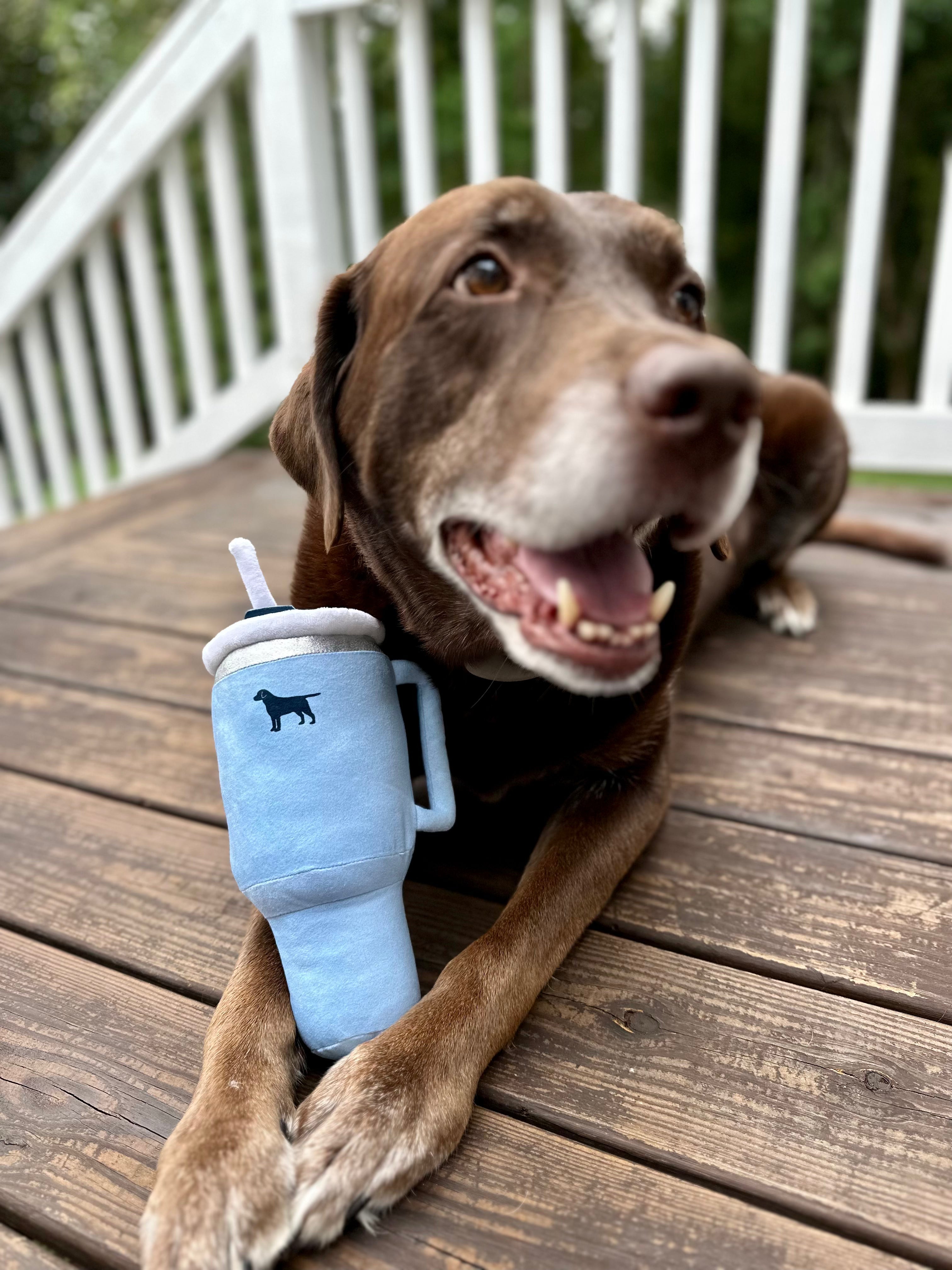 Pup Cup Tumbler Plush Squeaky Dog Toy- Ideal Birthday Dog Toy Gift