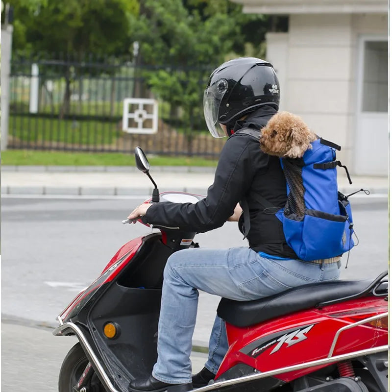 Hiking Pet Dog Carrier Travel Backpack Outdoor Ventilation Outdoor Sport Mesh