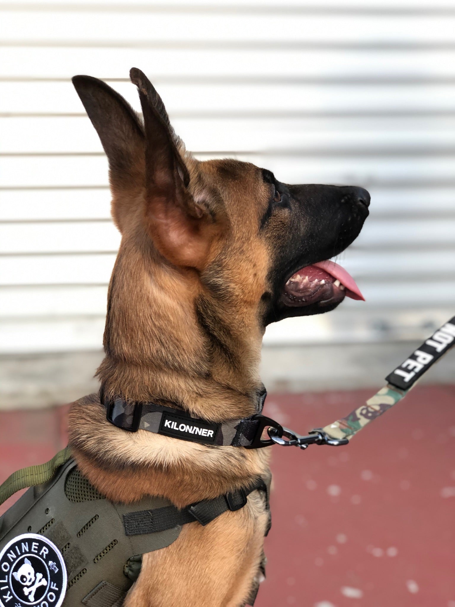 Strike Collar