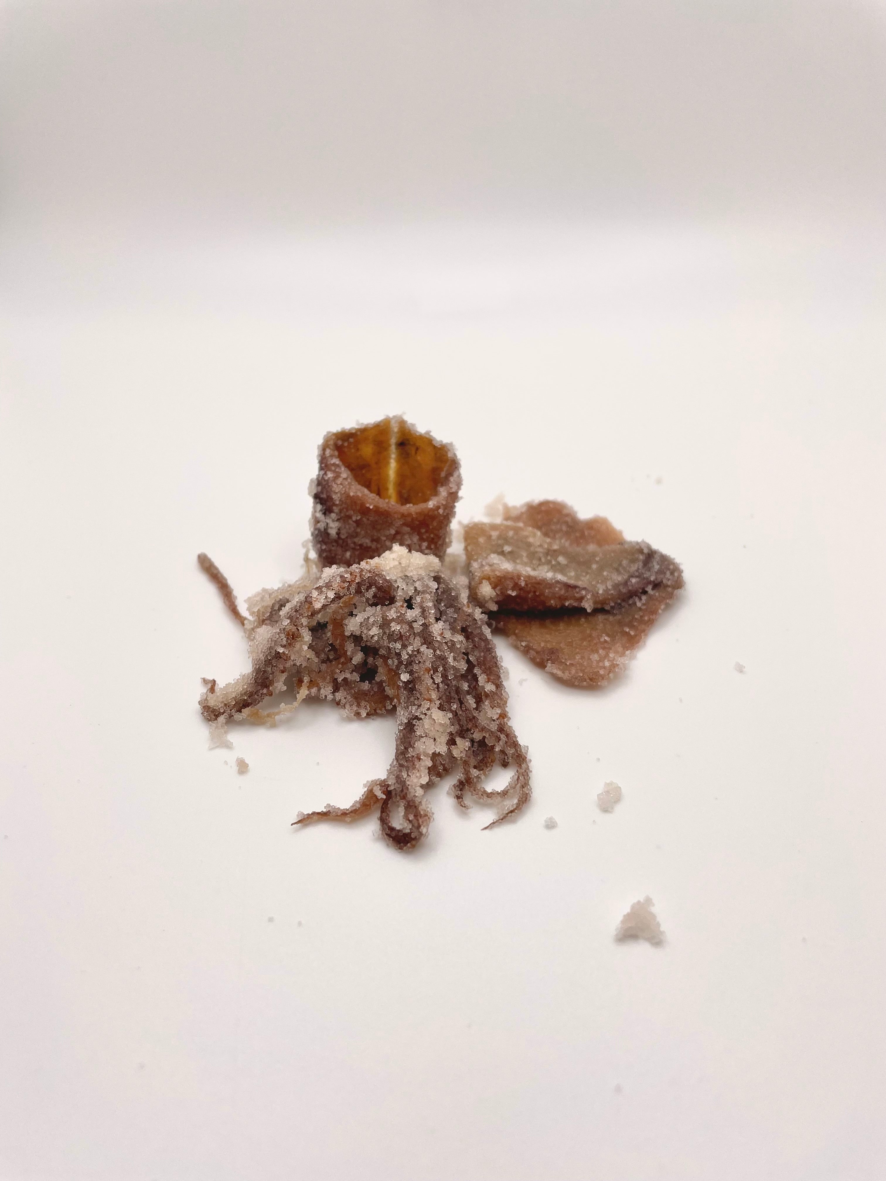 Salted Squid