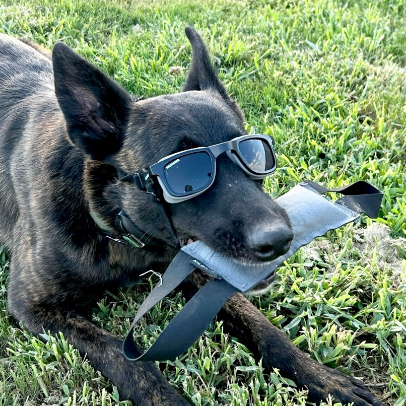 W1 Eye Defender Goggles