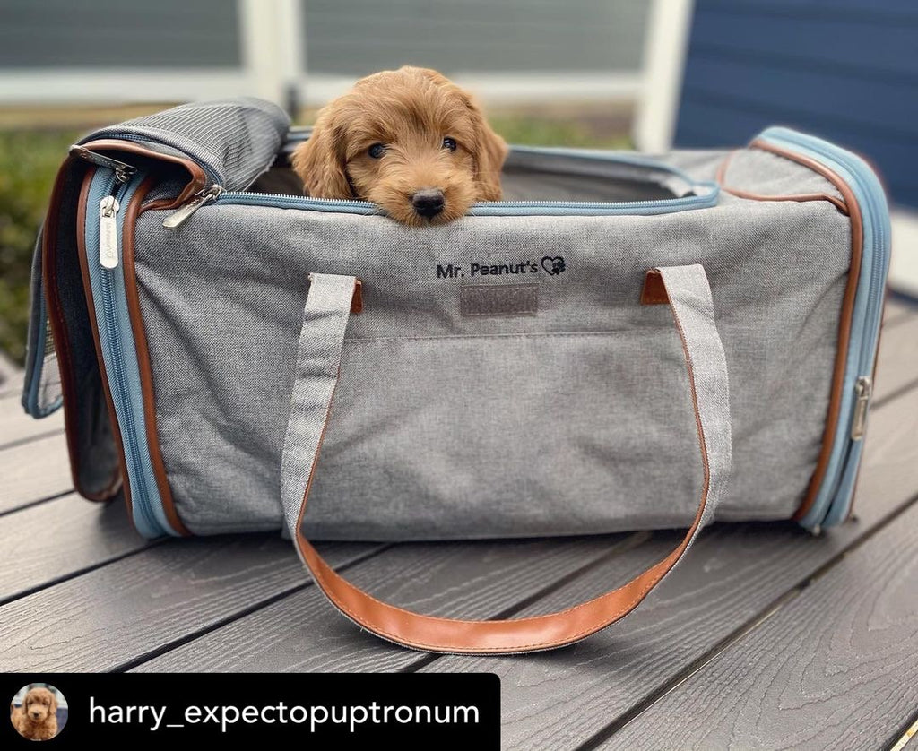 Mr. Peanut's Gold Series Big Apple XL Expandable Pet Carrier V3.0