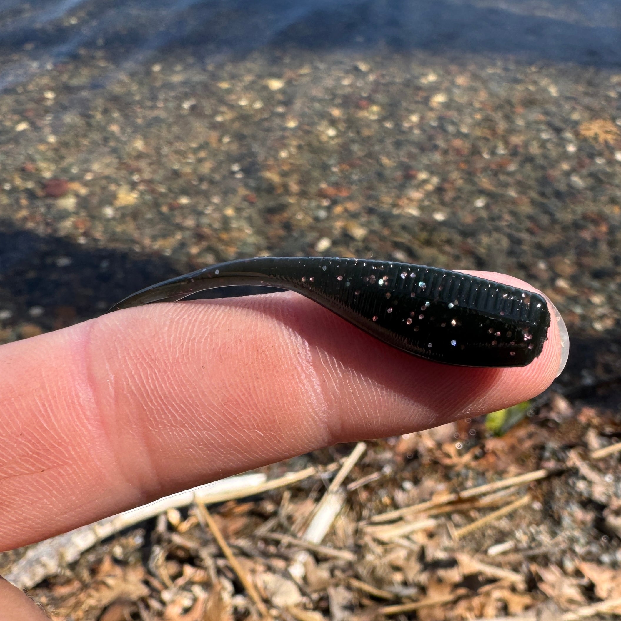 BS Minnow 2"