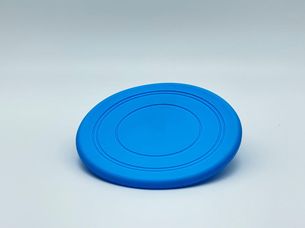 Fetch Me Frisbee