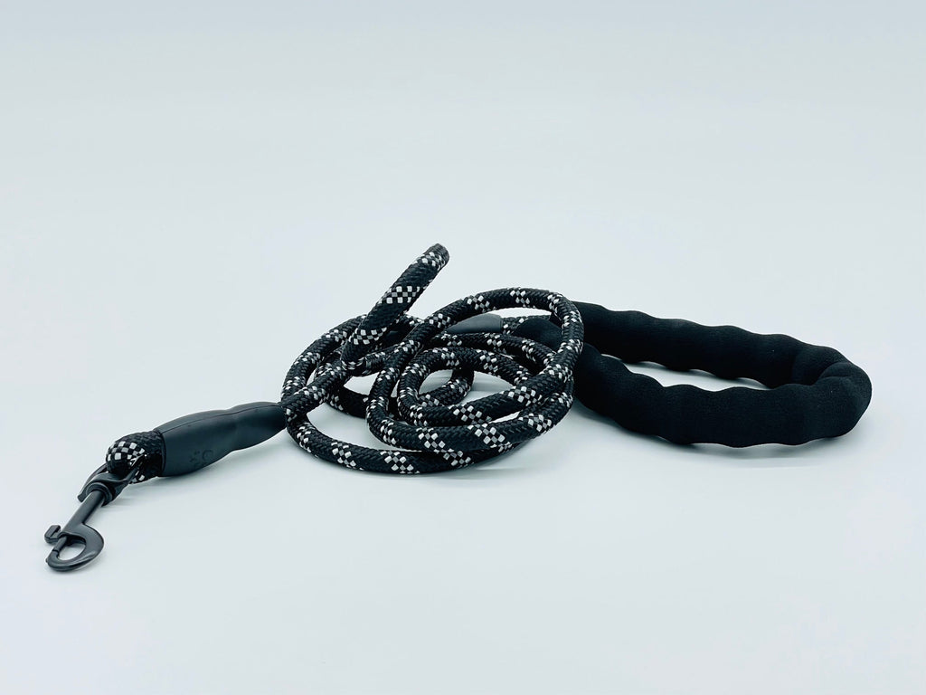 The Comfort Leash