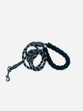 The Comfort Leash