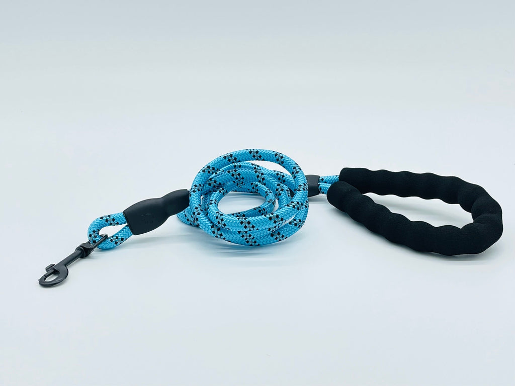 The Comfort Leash