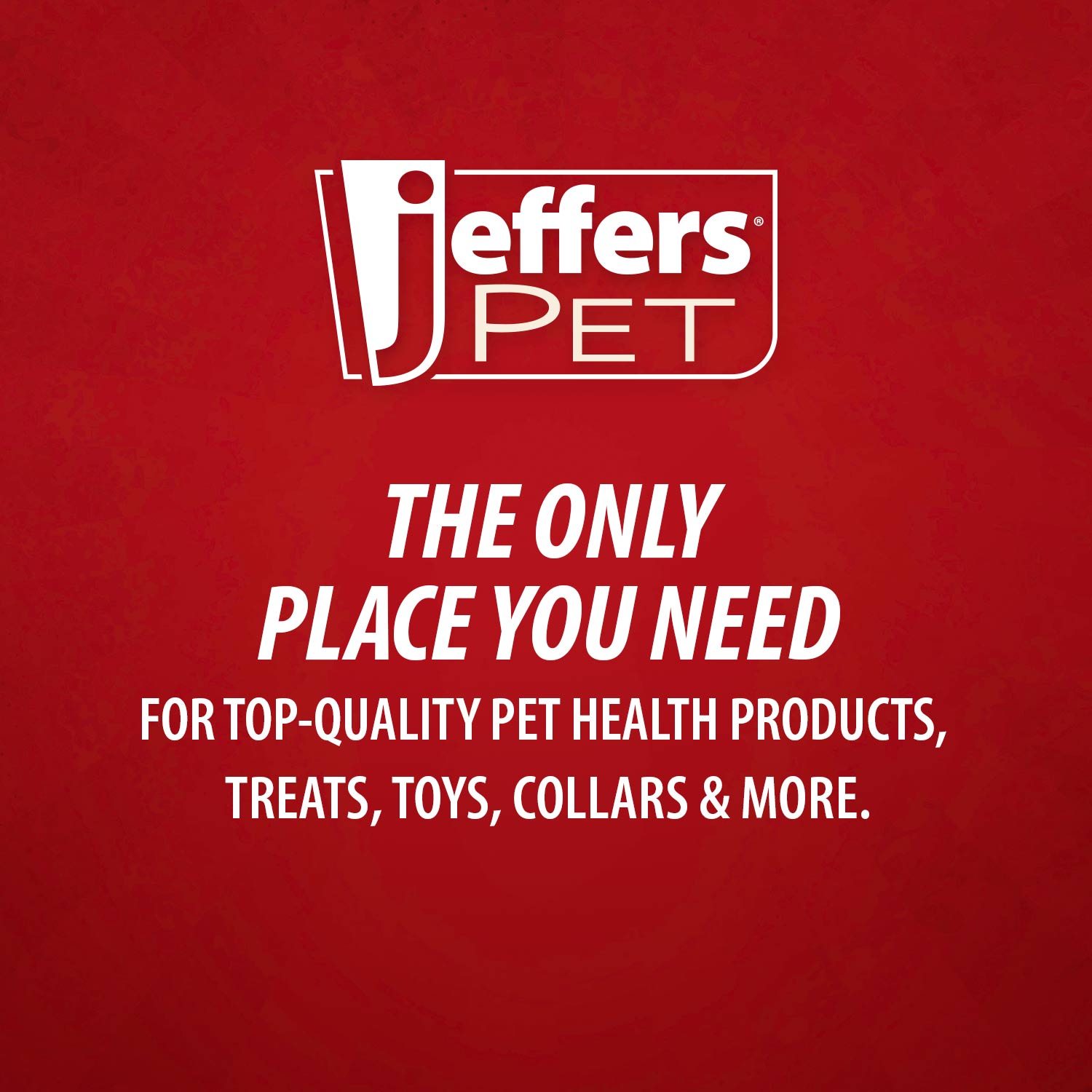 Jeffers Natural Rubber Box of Chocolates Dog Chew Toy for Medium-Chewers