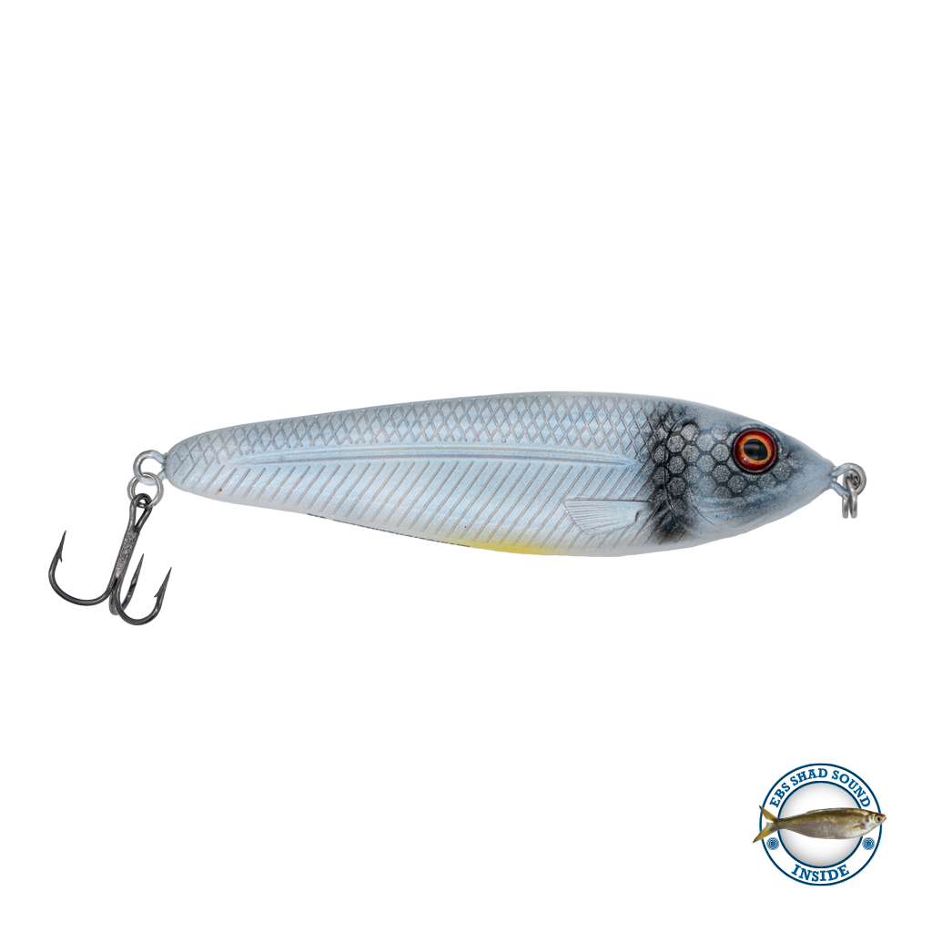 EBS Jigging Spoon