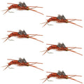 Gold Bead Kaufmann's Brown Stone Fly with Rubber Legs - Stonefly Wet Fly - 6 Flies Hook Size 8