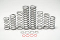Shock Therapy Dual Rate Spring kit (DRS) for Polaris RZR XP 1000