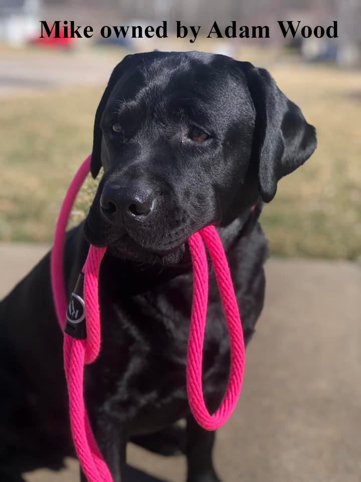 Slip Leads