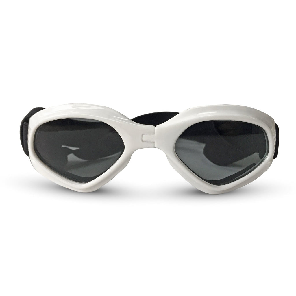 Dog goggles sunglasses cool accessories