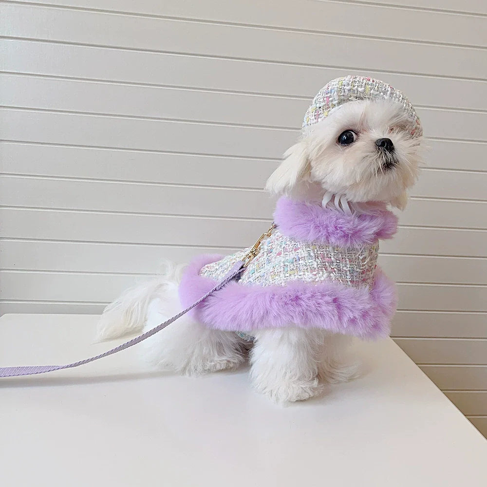 Dog cape+hat+leash lavande tweed