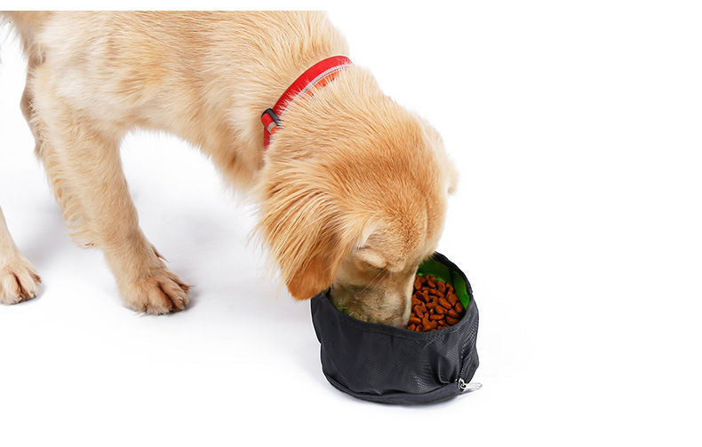 Travel Packable Dog Bowl - Black and Orange