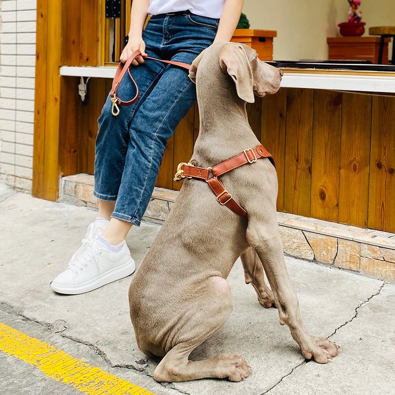 Luxury Leather Dog Harness & Leash Set – Brown/Green