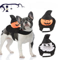 Dog Pumpkin Rider Costume