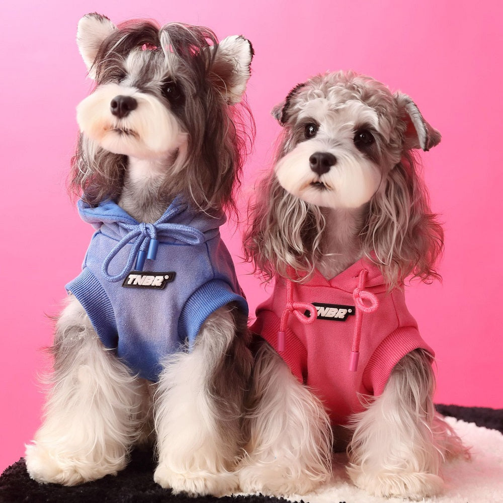 Dog hoodie cool 2